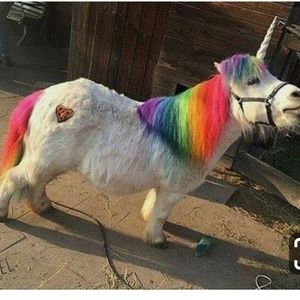 Trade for my girl CHRISTINA 💕